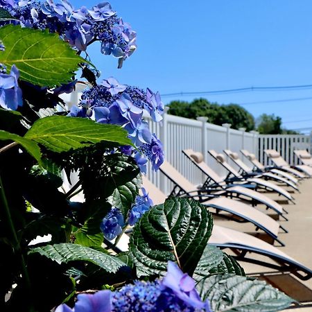 Sea View Motel Ogunquit Exterior photo