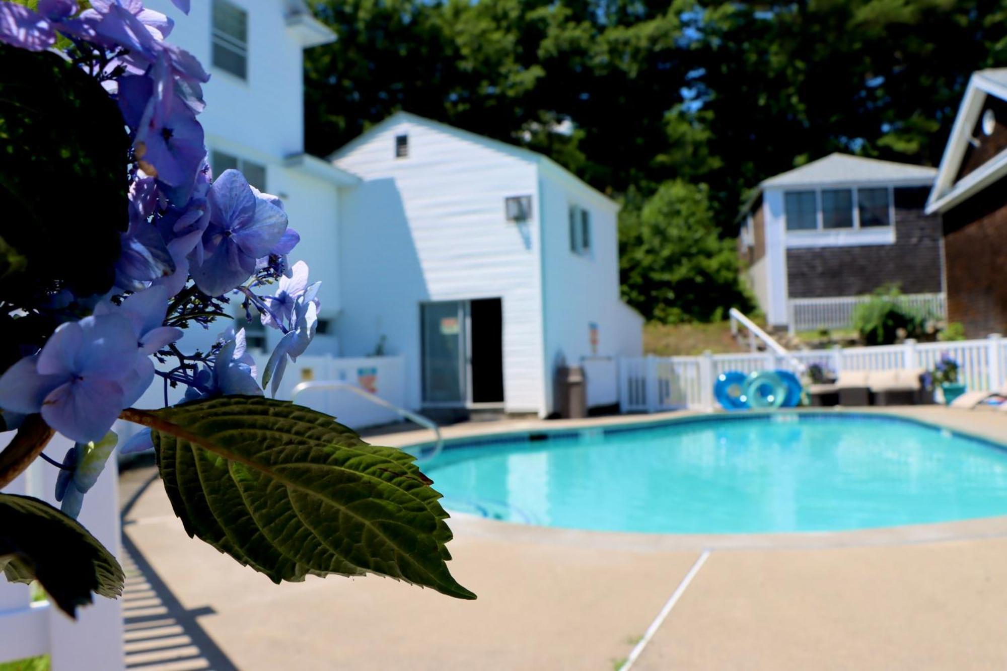 Sea View Motel Ogunquit Exterior photo